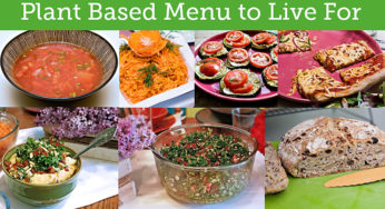 8 Course Plant Based Menu That Will Have You Lick Your Plates