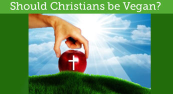 Should Christians be Vegan?