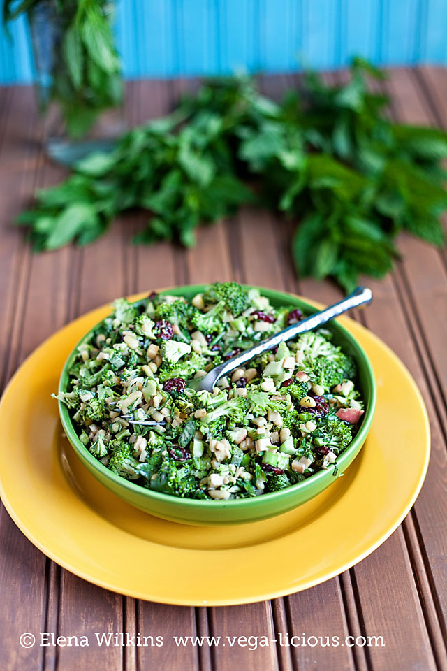 broccoli_salad_008